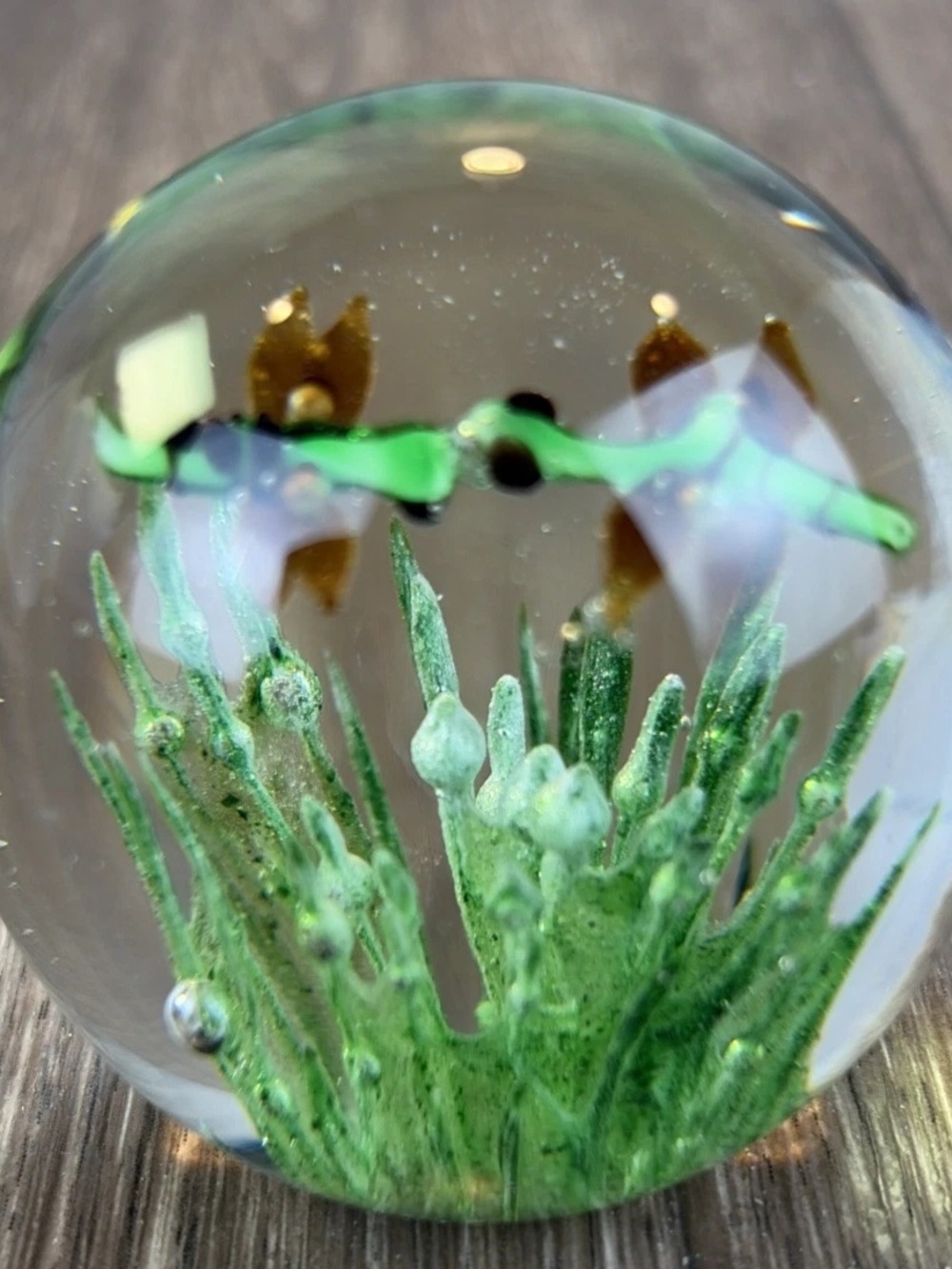 Dynasty Gallery Dragonflies Grass Green Small Art Glass Bubbles Paperweight 2.25